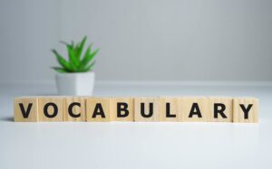 vocabulary